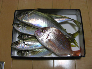 DSCN6121.jpg