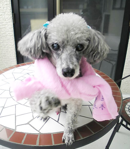 YUJI.07.05.21.00.jpg