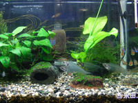 DSCN4300.JPG