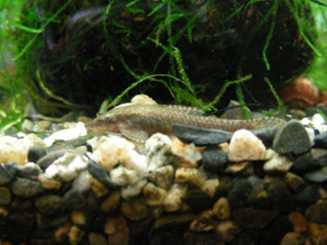 DSCN4362.jpg