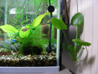 DSCN4363.jpg