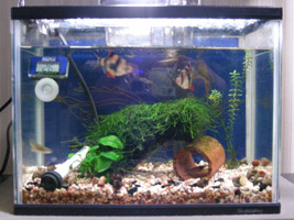 DSCN4364.jpg