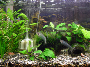 DSCN5578.jpg