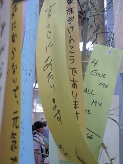 ko-1.tanabata3.jpg