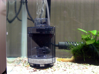 yoneda.fishlet.4.15.jpg