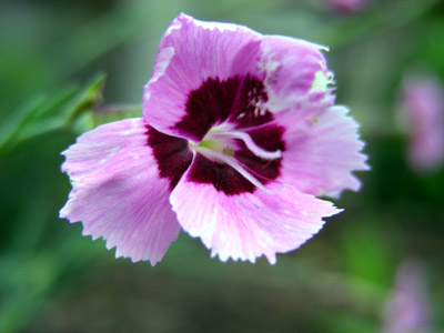 yoneda.sekitiku.4.25.jpg